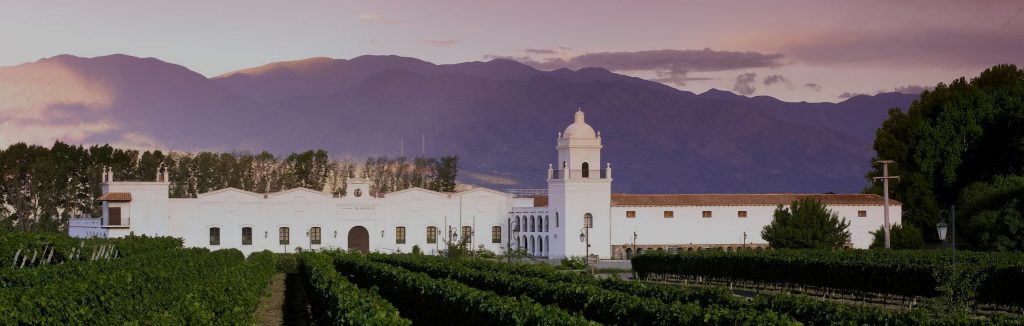 Vinhedos e horizonte andino em Cafayate